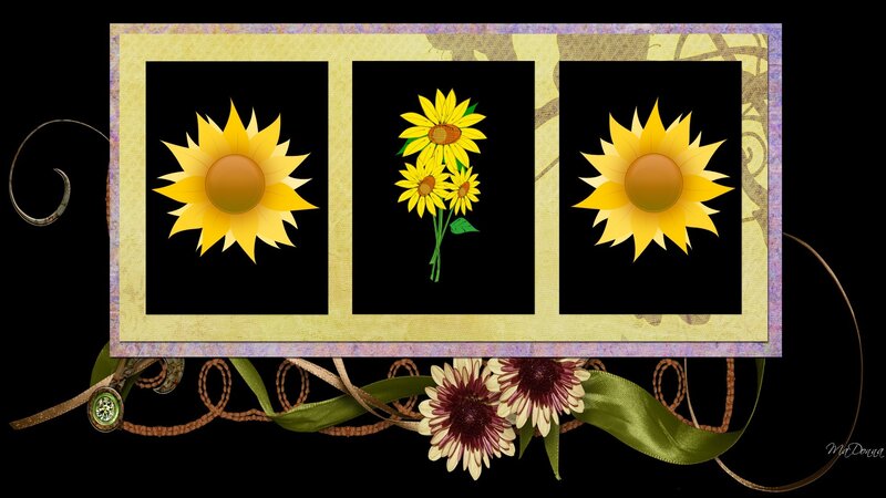 Sunflower Collage