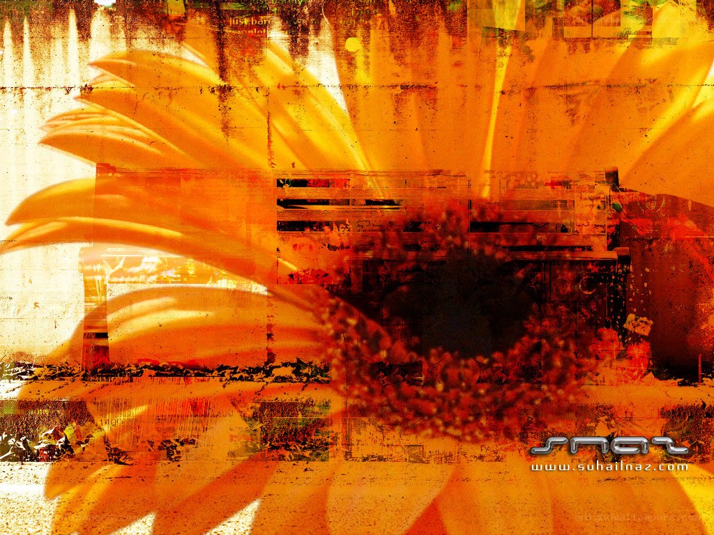 Sunflower collage with grunge texture