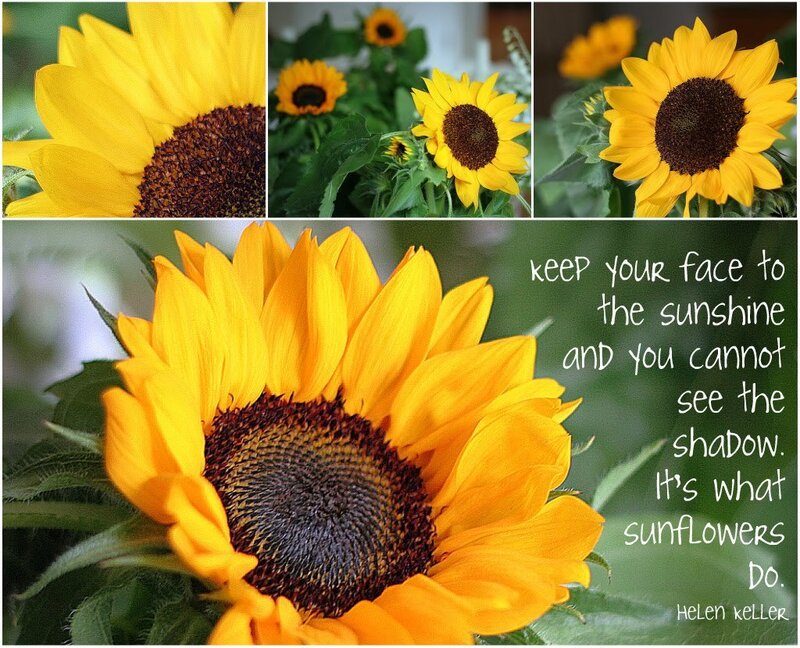 Sunflower Collage — Yellow