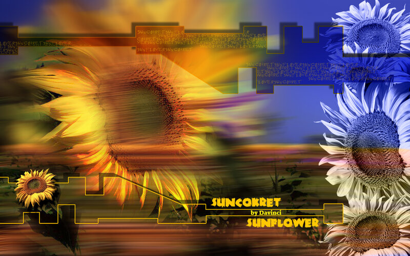 Sunflower digital artwork