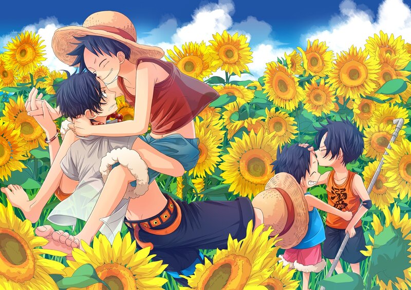 Sunflower field adventure