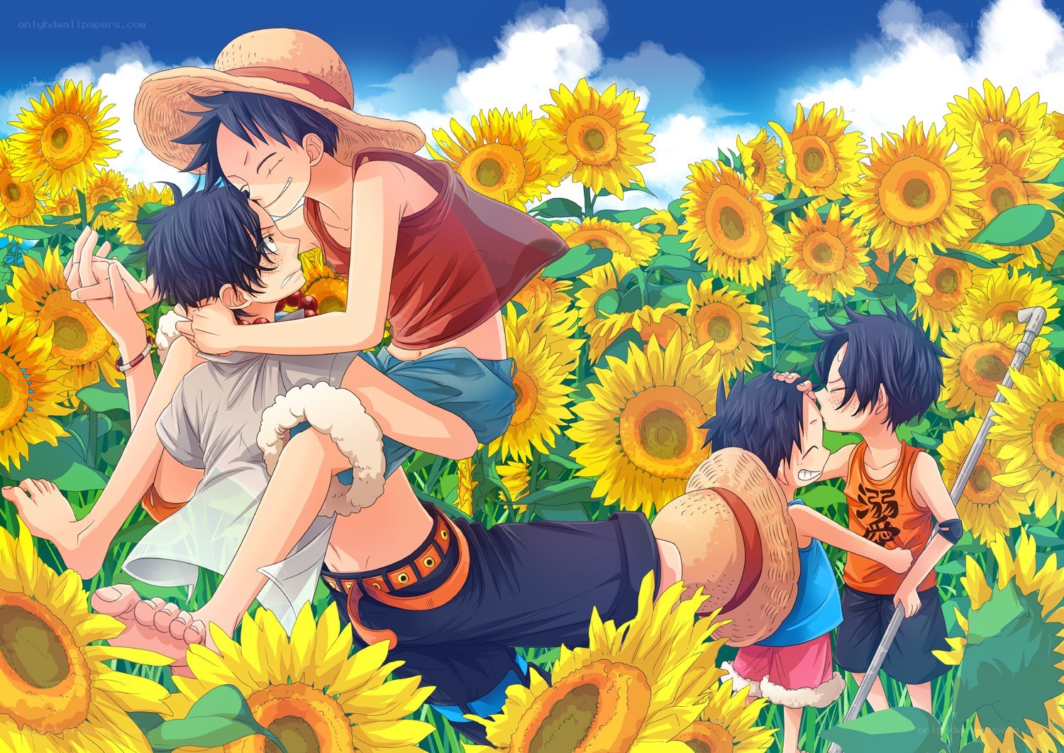 Sunflower field adventure