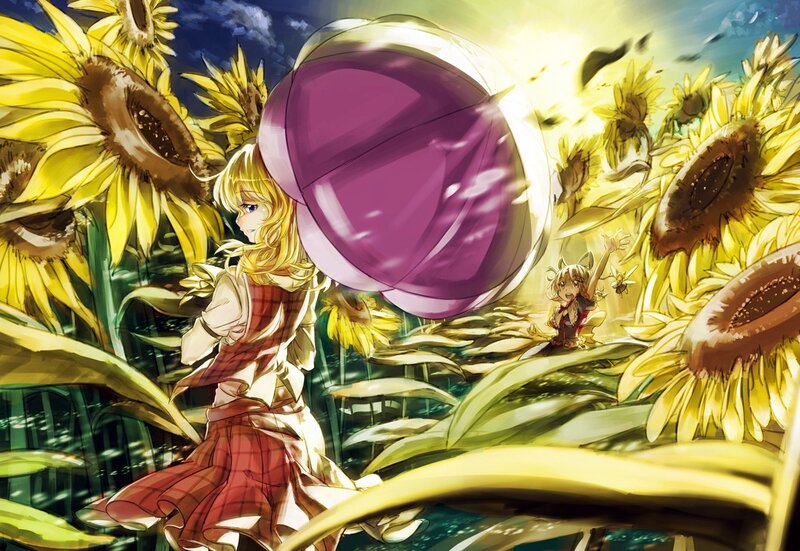 Sunflower field adventure