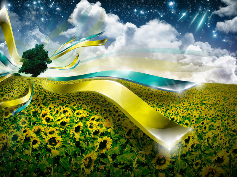 Sunflower Field at Night