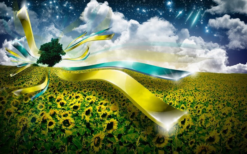 Sunflower Field at Night — Yellow, Dreamy
