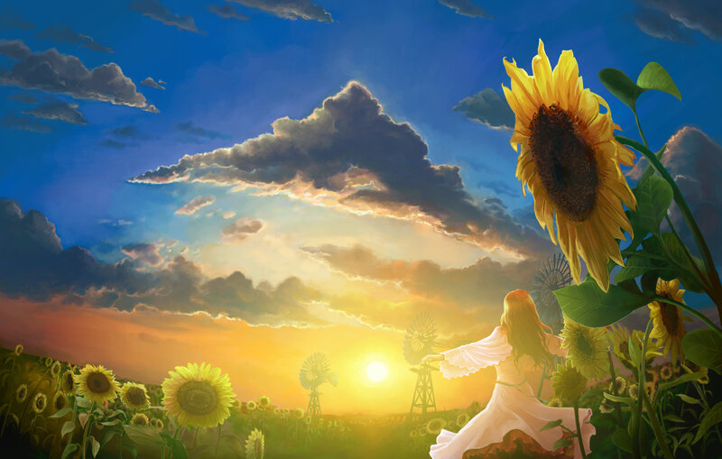 Sunflower field at sunset