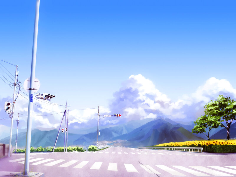Sunflower field by the road