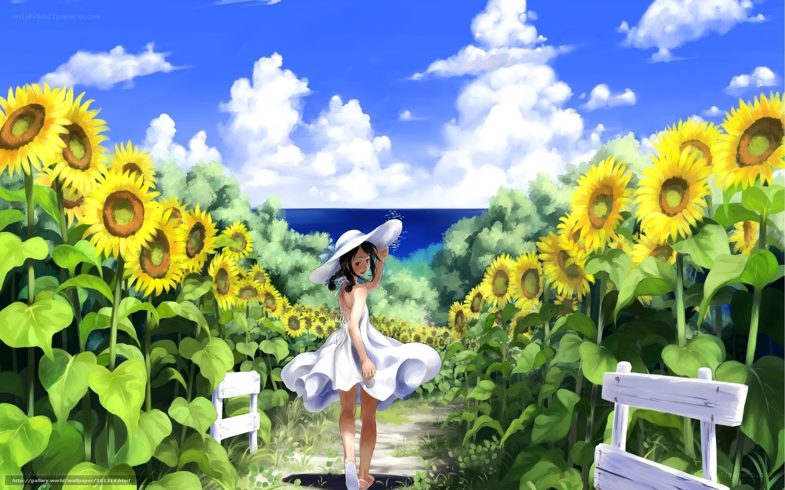Sunflower field by the sea