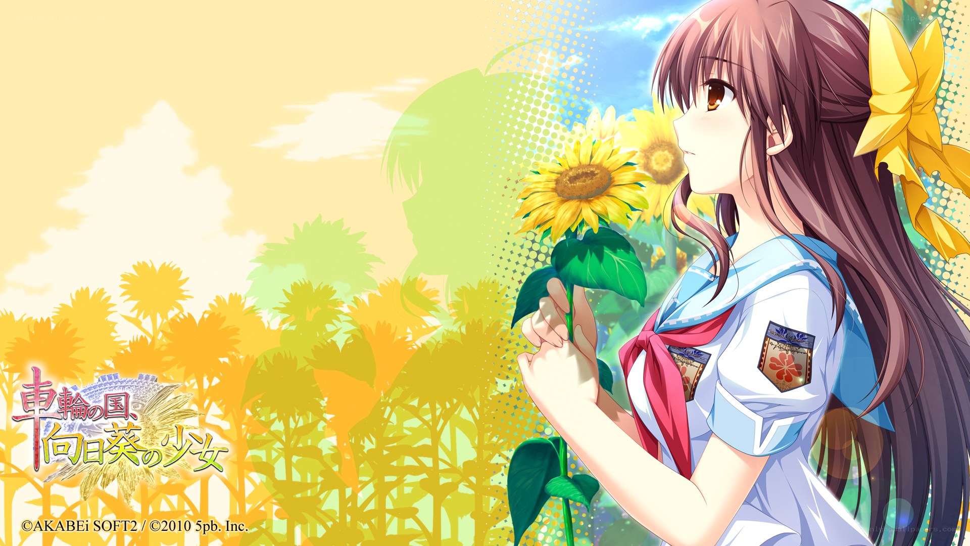 sunflower field girl