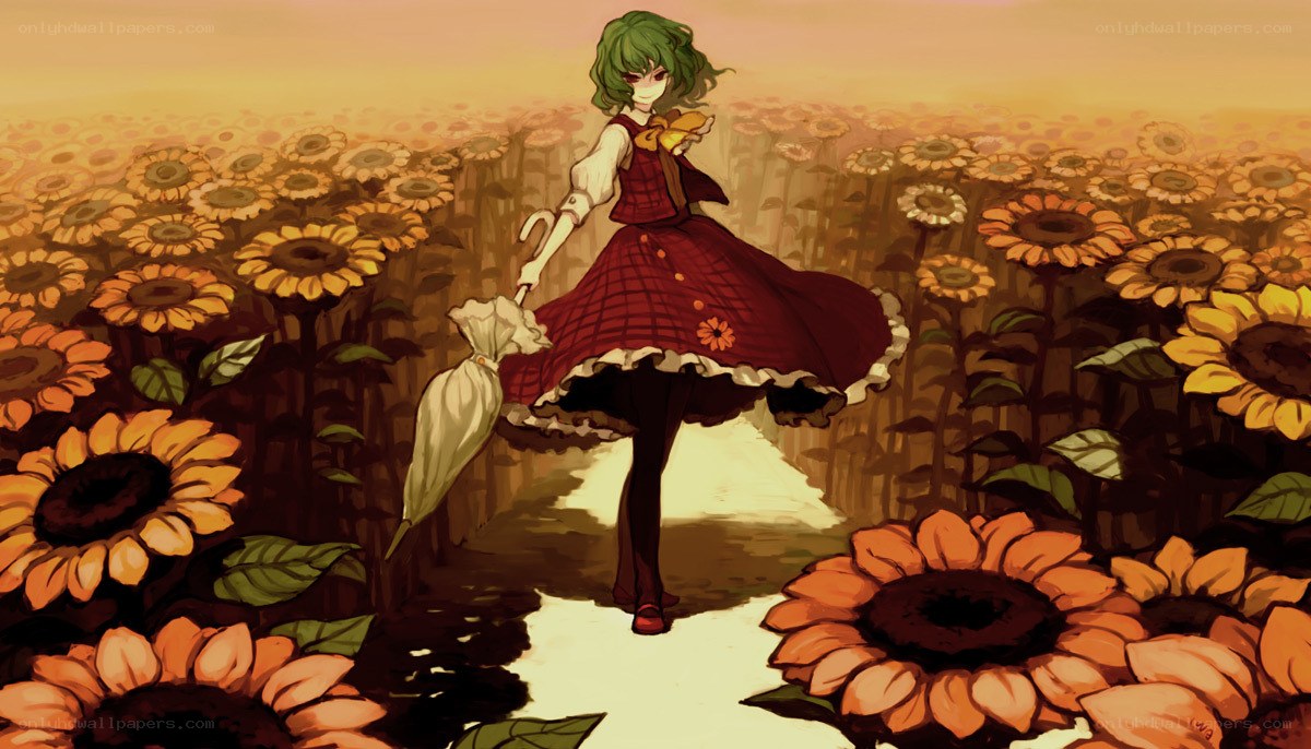 Sunflower field girl