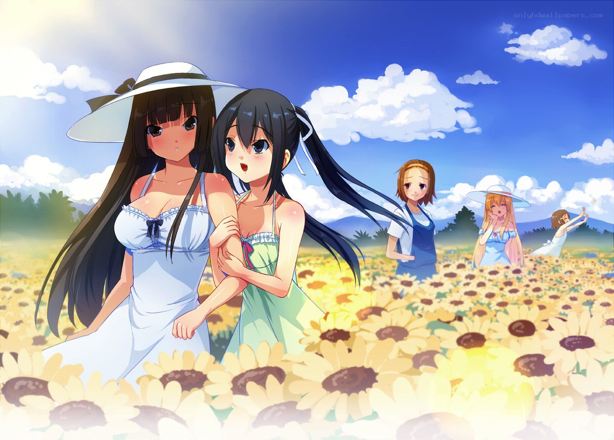 Sunflower field girls