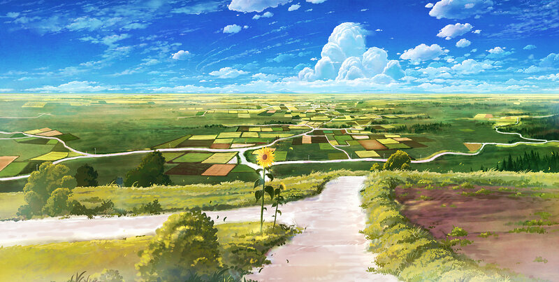 Sunflower field landscape