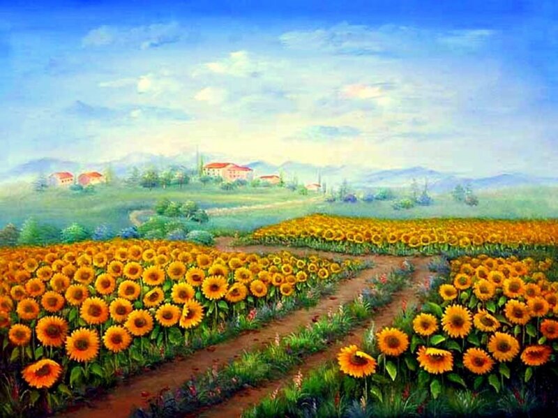 Sunflower Field Landscape — Yellow