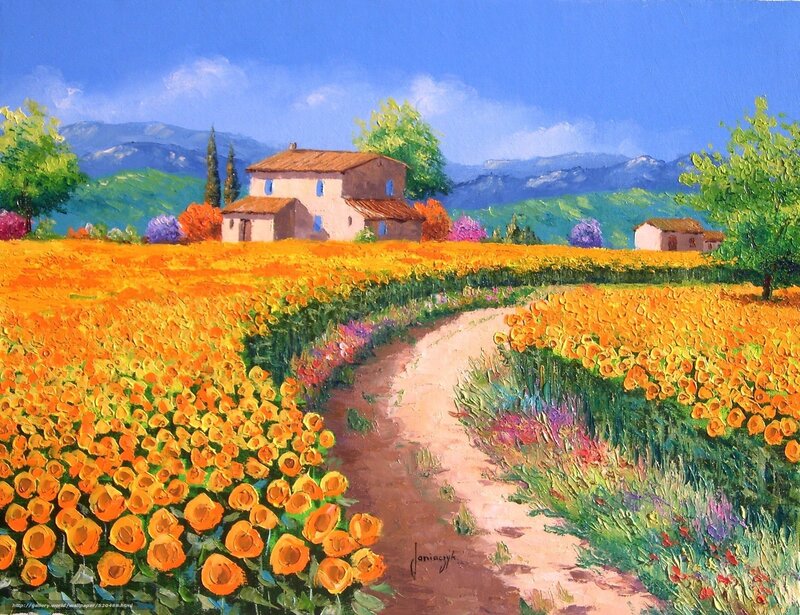 Sunflower field path landscape