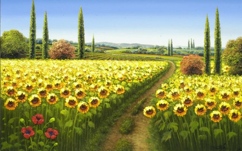 Sunflower Field Path — Yellow, Serene