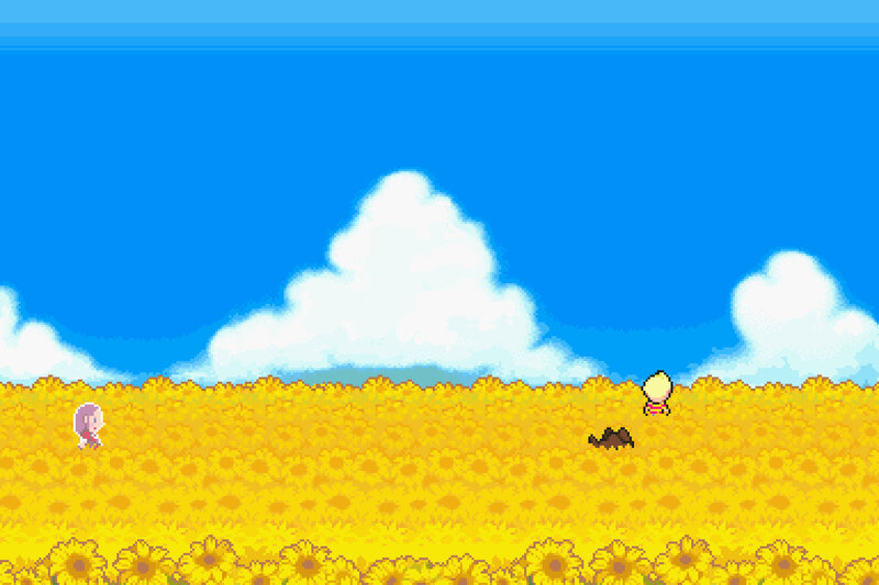 Sunflower field scene