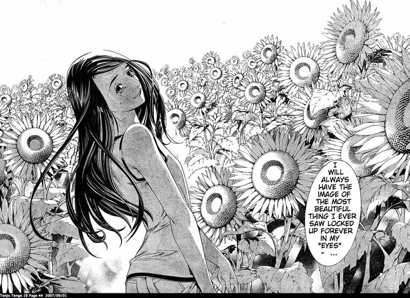 Sunflower field scene