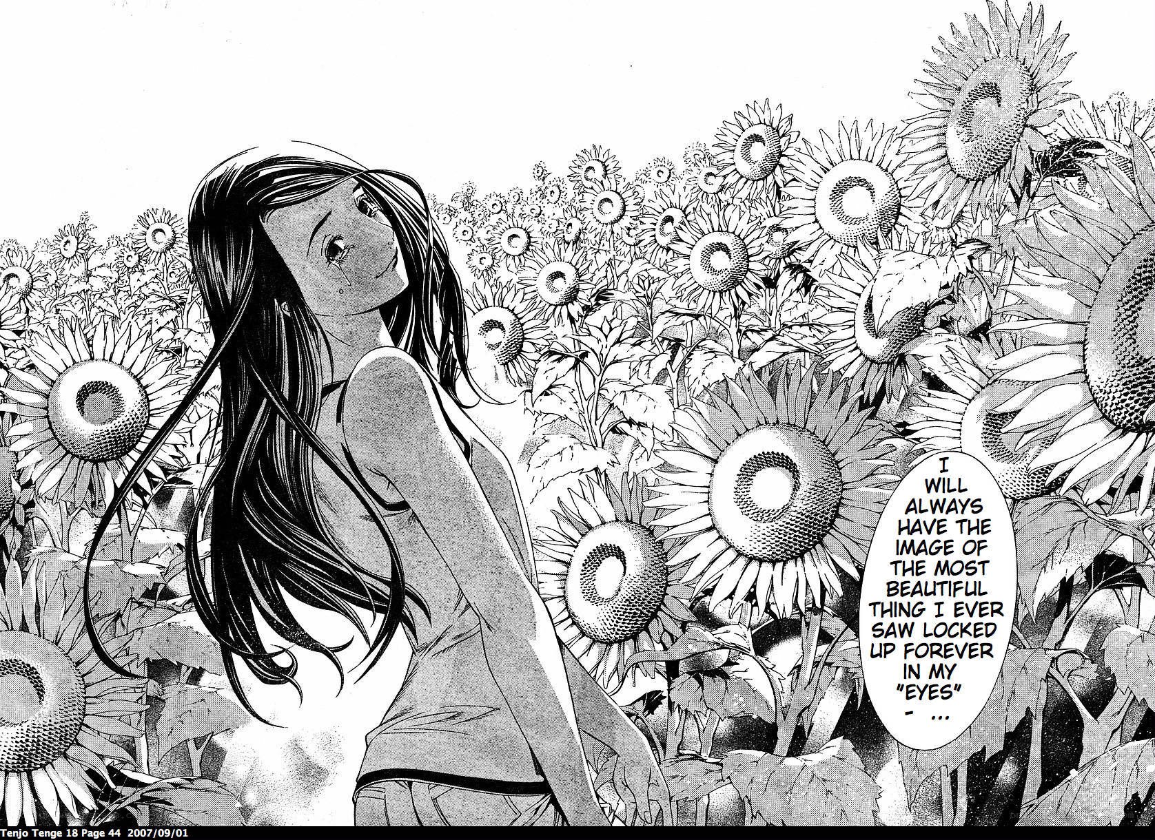 Sunflower field scene