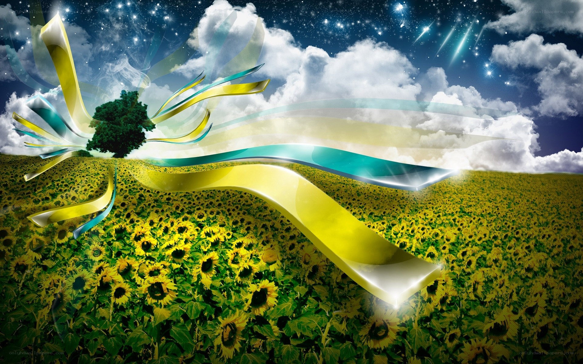Sunflower field under starry sky
