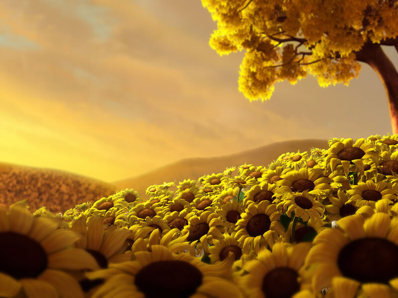 Sunflower Field under Tree