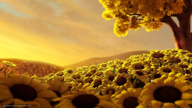 Sunflower Field under Tree — Yellow