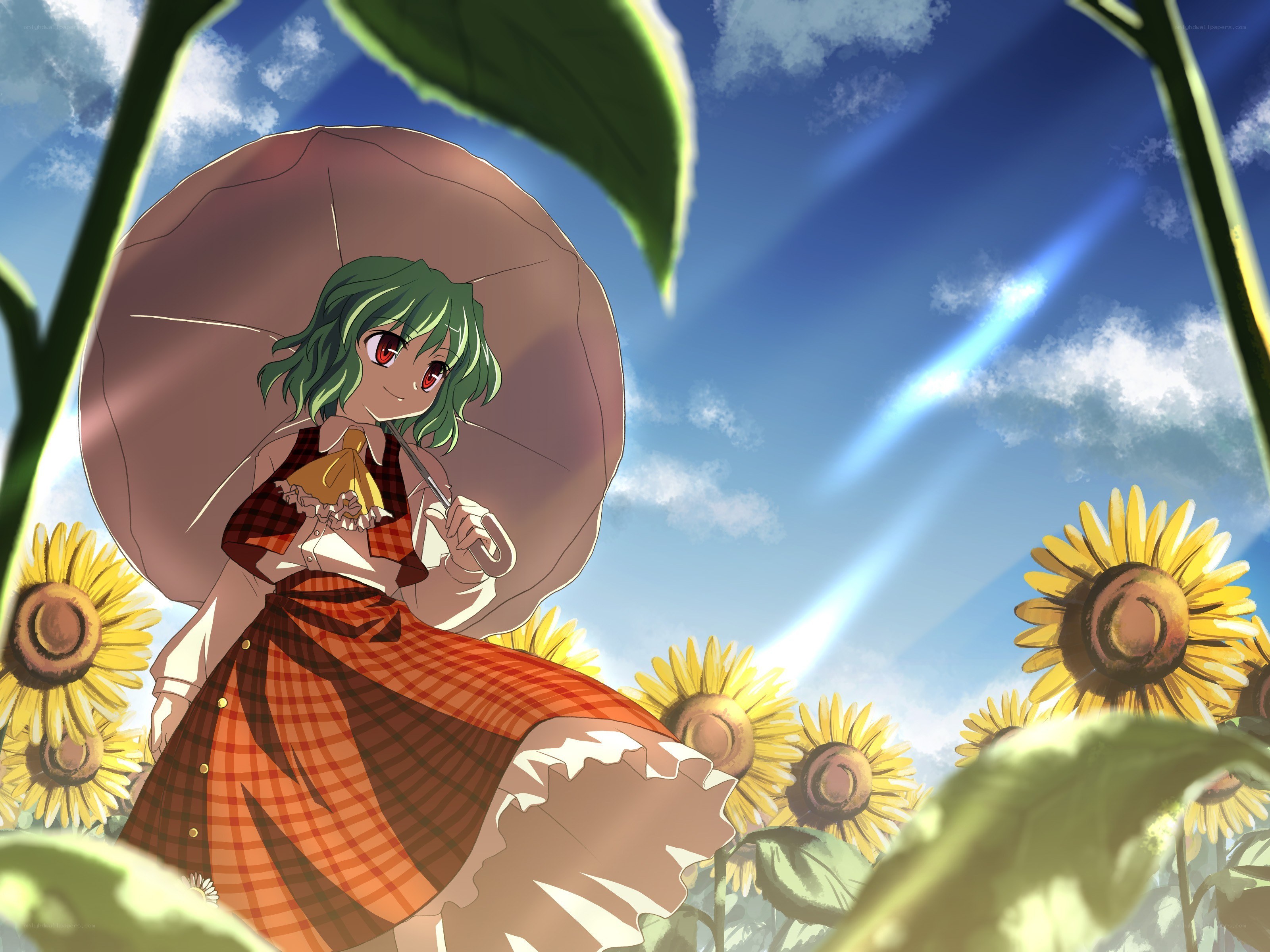Sunflower field with anime girl