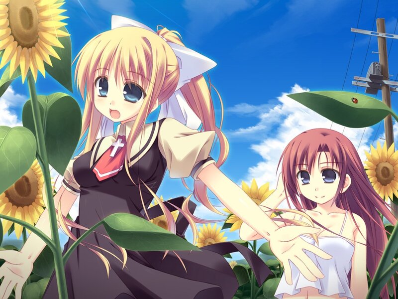 Sunflower field with anime girls