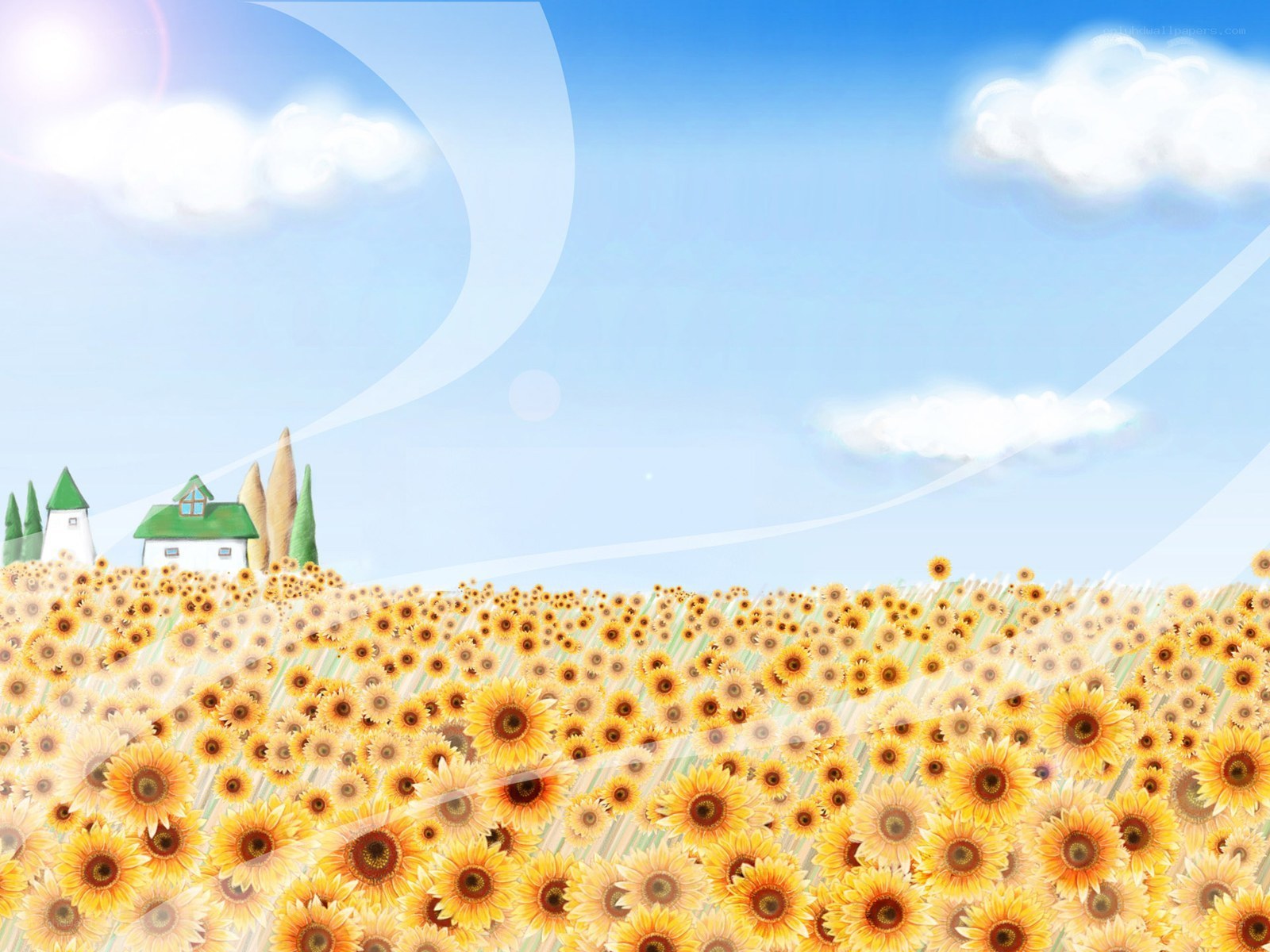 Sunflower field with house