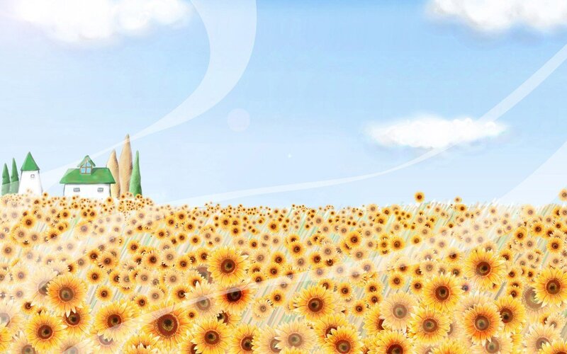 Sunflower field with house
