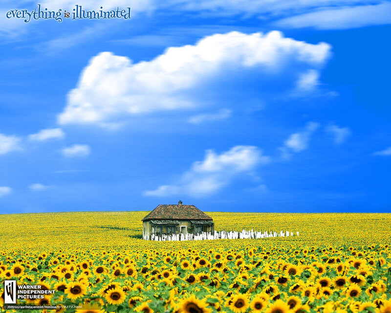 Sunflower field with house