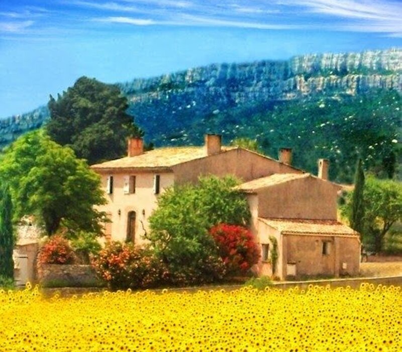 Sunflower Field with House — Yellow, Serene, Afternoon