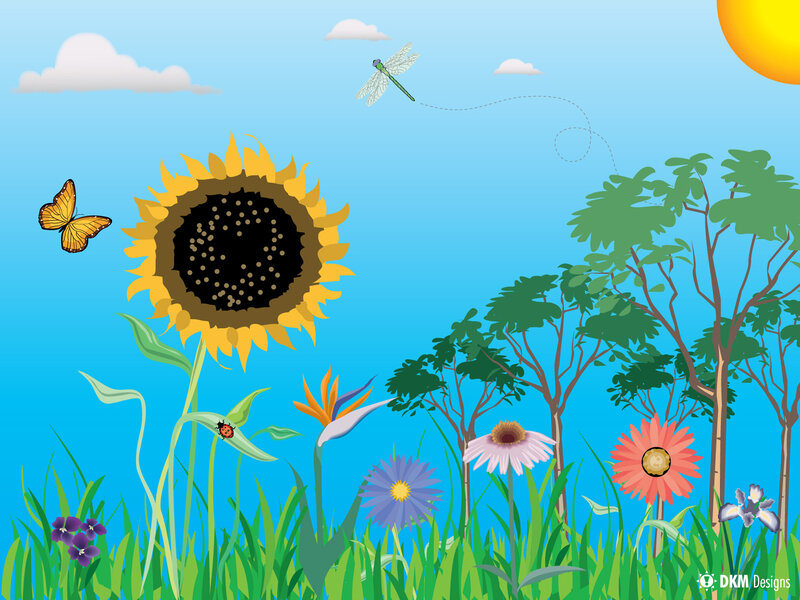 Sunflower field with insects