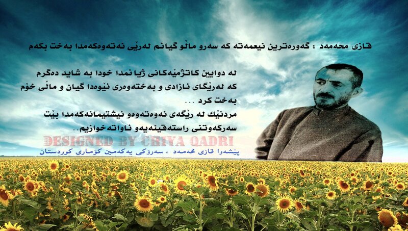 Sunflower field with portrait