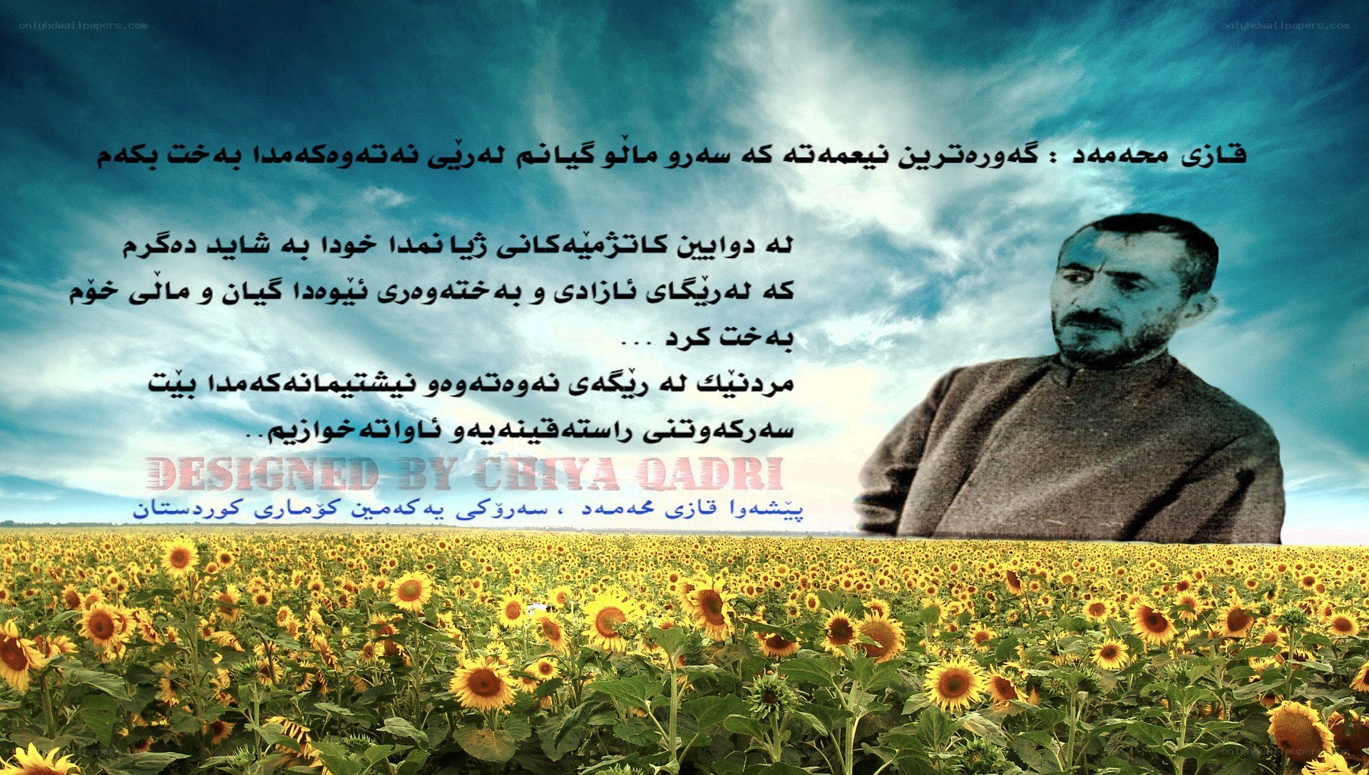 Sunflower field with portrait