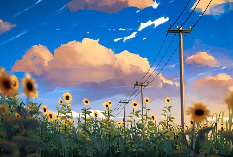 Sunflower Field with Power Lines