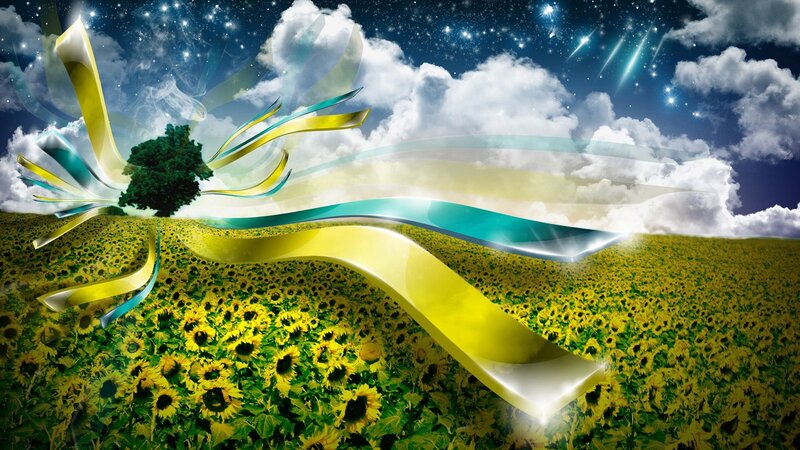 Sunflower field with ribbons