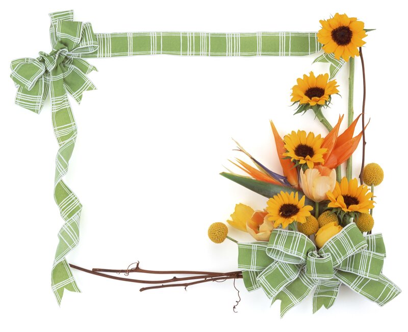 sunflower floral frame
