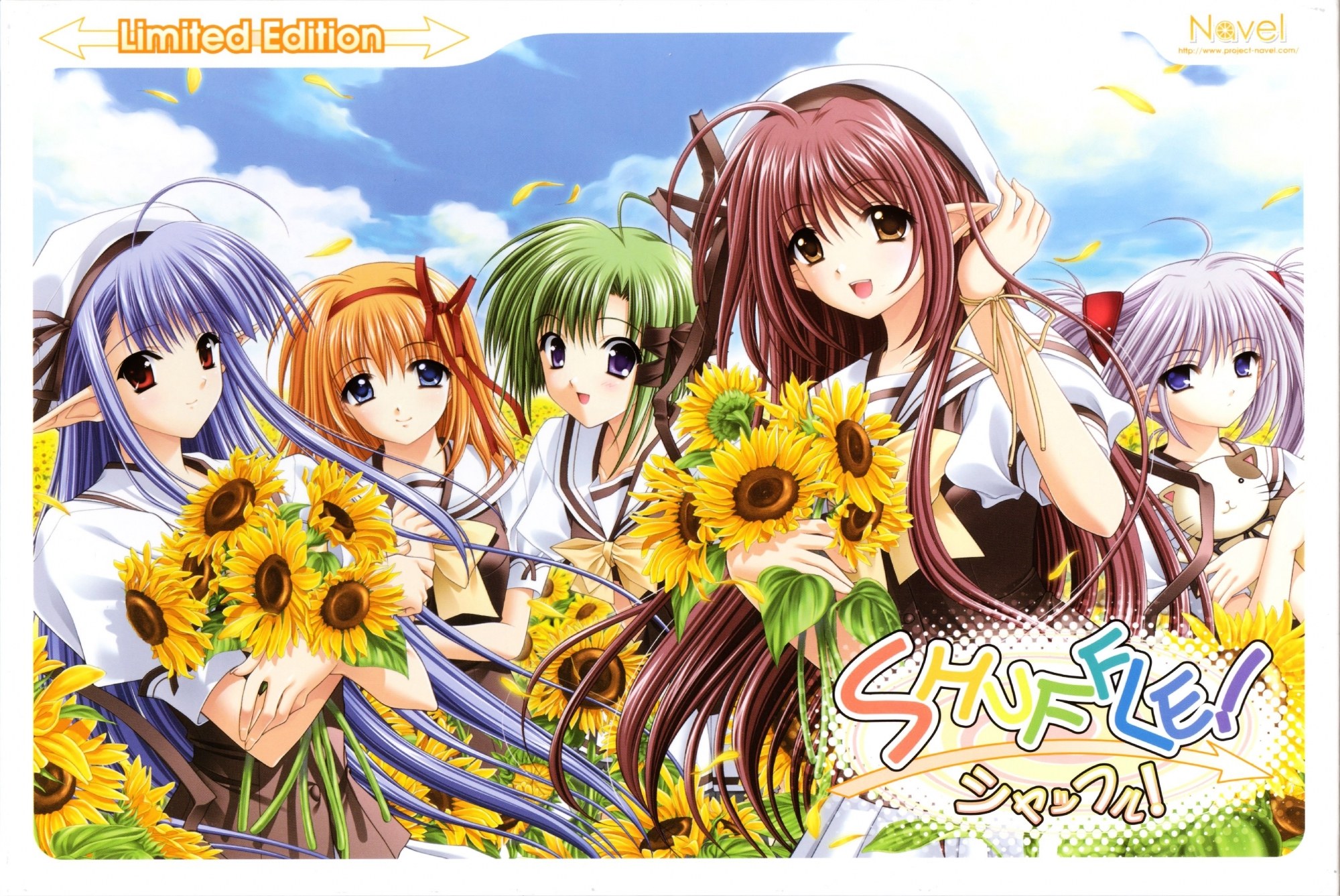 Sunflower girls in a field