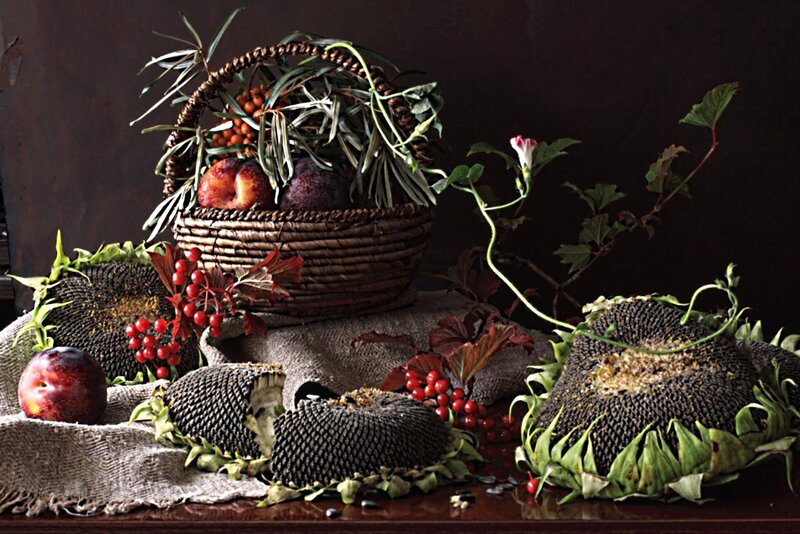 Sunflower Heads and Fruit