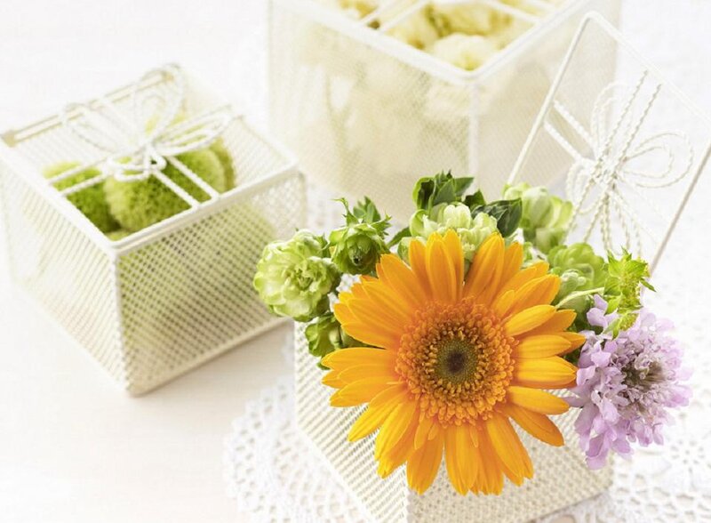 Sunflower in a Box — Yellow, Calm