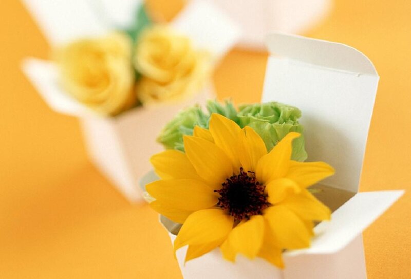 Sunflower in a Box — Yellow