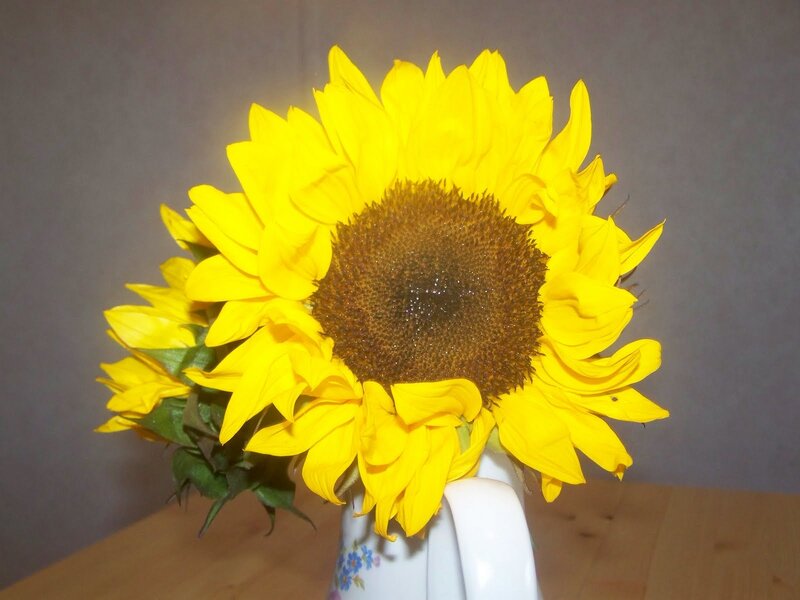 Sunflower in a Vase — Yellow