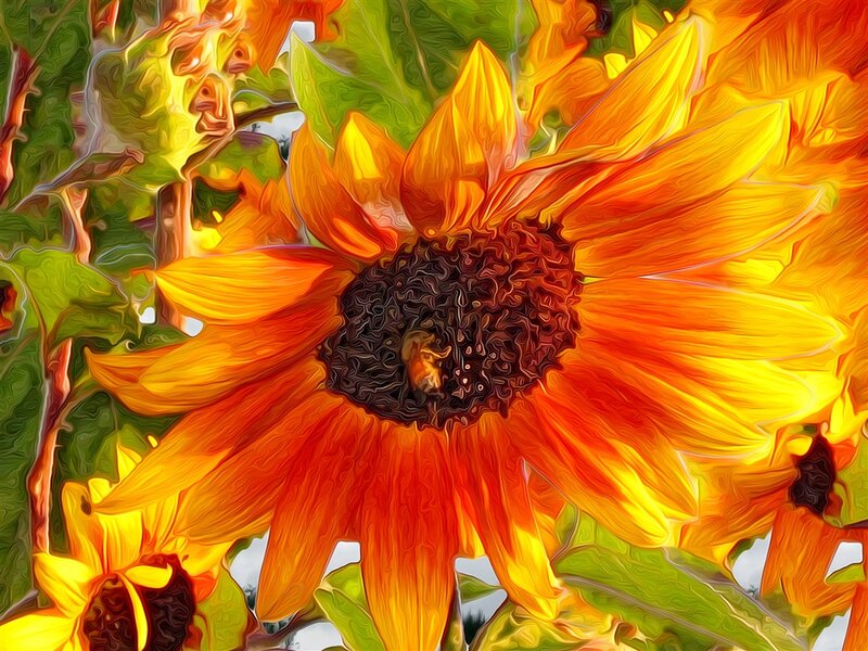 Sunflower in Bloom — Yellow, Vibrant, Afternoon, Digital Art
