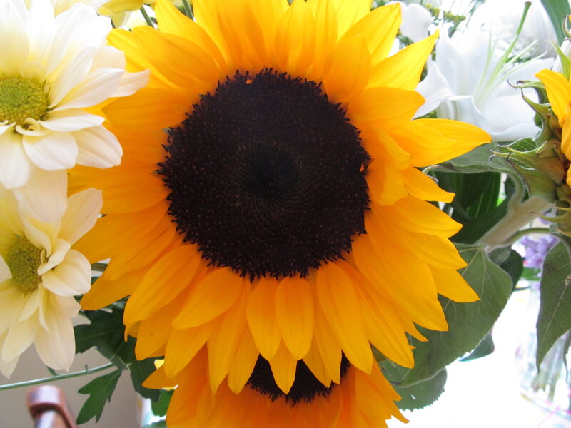 Sunflower in Bouquet — Yellow, Bright