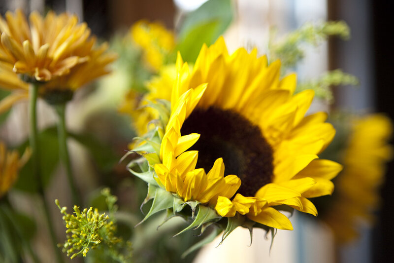 Sunflower in Bouquet — Yellow