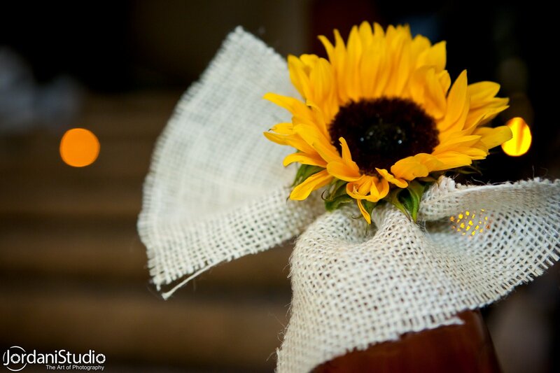Sunflower in Burlap