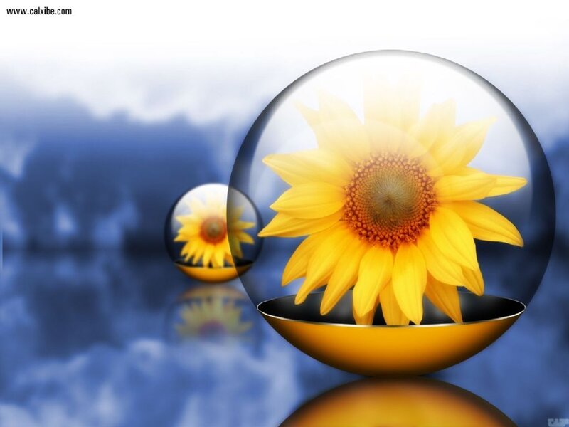 Sunflower in Glass Sphere
