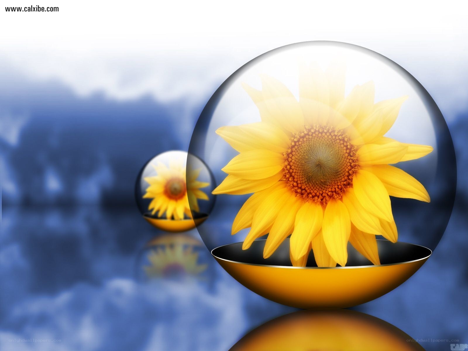 Sunflower in glass spheres