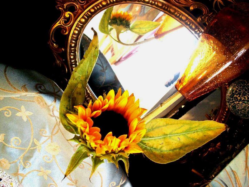 Sunflower in Mirror