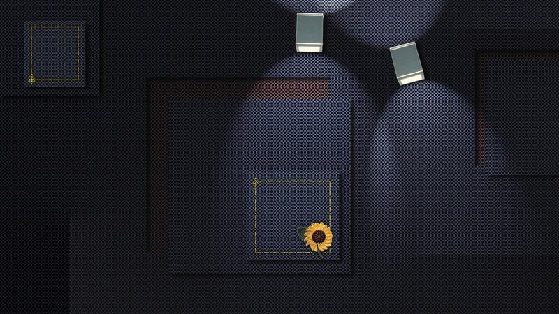 Sunflower in Pocket